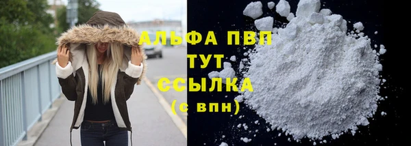 стаф Рославль