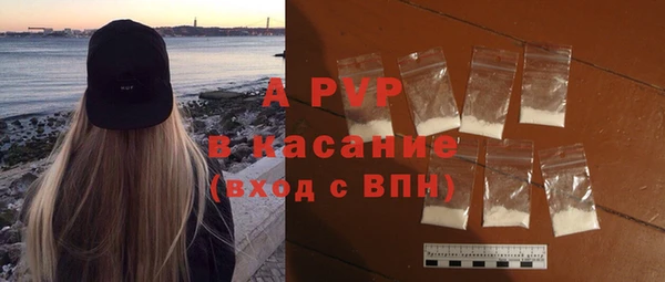 индика Ивангород