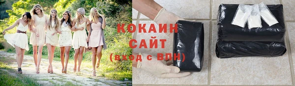 дживик Абаза