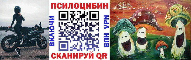 Псилоцибиновые грибы ЛСД Кизляр