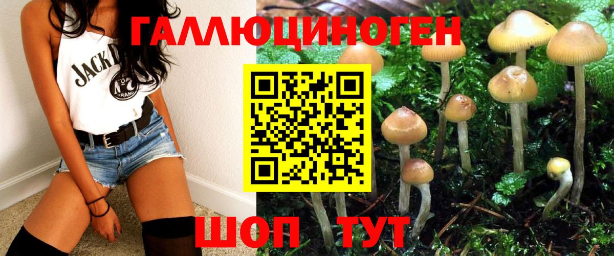 Псилоцибиновые грибы ЛСД Кизляр