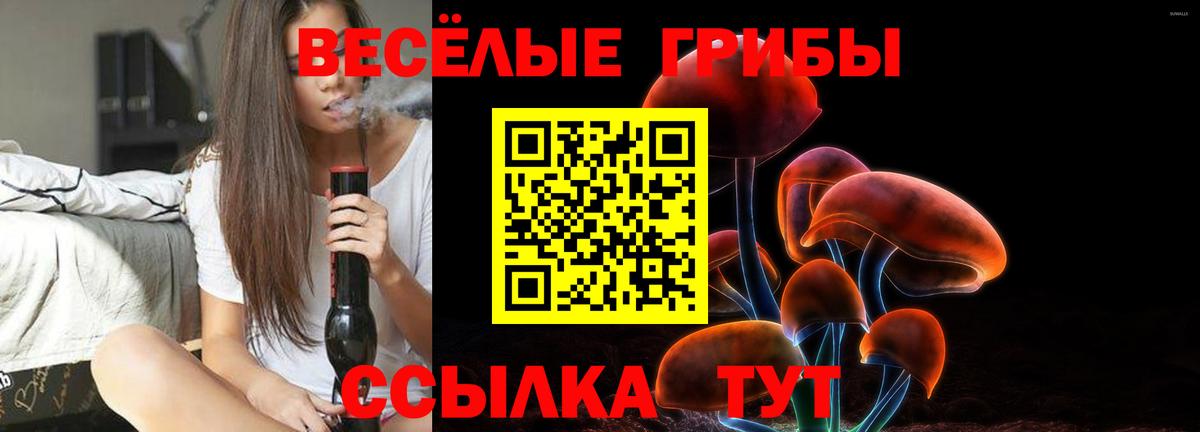 Кизляр  Псилоцибиновые грибы мицелий  Вход с VPN 