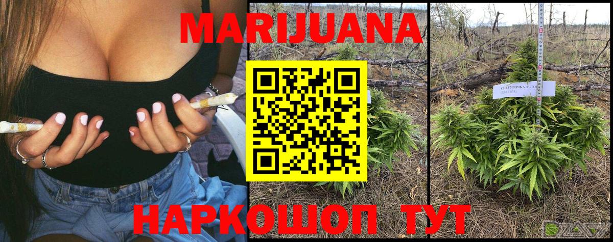 Каннабис индика Кизляр